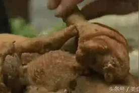 深夜不能看的电影片段，这些吃炸鸡的片段，妥妥的把人吃饿啊图片