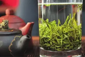除了绿茶和苦丁茶，夏天降火还可以喝这个！图片