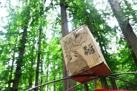 有鸭嘴兽伴我，山河露营更精彩图片