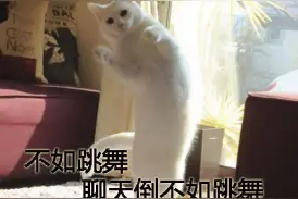 在四川托普学院读书是一种怎样的体验？图片