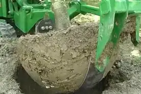 国外的大型挖树机械，真有劲1图片