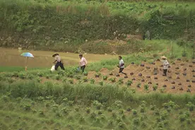 来自扶贫一线的报道（革命老区行）：走进广西融水图片