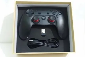 盖世小鸡游戏手柄简测图片