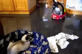 搞笑母子三人组，看看谁的颜值最高？图片