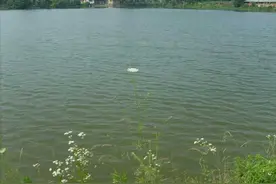 浅谈农村养鱼池塘建设问题图片