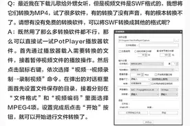 教你SWF如何转换为MP4图片