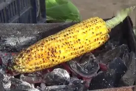 印度沙滩的烤玉米，直接放在炭火上烤，看到出炉的玉米就没食欲了