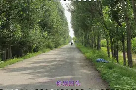 满江成名曲《裙角飞扬》，大家都很喜欢视频封面