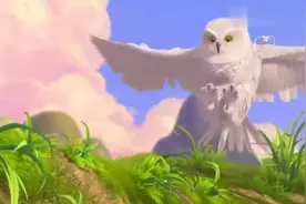 英文考试听力考试背景音乐，青春痛苦的回忆