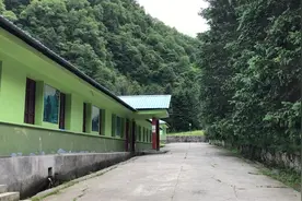 走进甘肃文县大熊猫繁育中心，就这环境大熊猫能不喜欢吗？视频封面