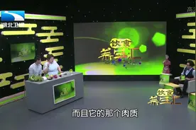 长知识！榴莲中的臭味是怎么来的？专家来告诉你视频封面