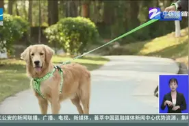 异烟肼成毒狗“特效药”？（上）：异烟肼对人体无害？专家辟谣