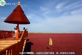 这片红色海滩美轮美奂，历史竟可追溯到海洋形成时网友：不可思议视频封面