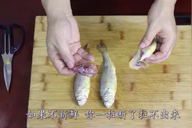 很黄很暴力的小黄鱼处理方法，一拉一拽一扯，却能处理的很干净视频封面