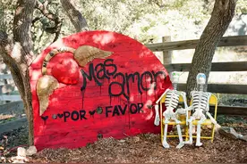 墨西哥亡灵节创意主题婚礼，与萌萌的骷髅一起唱歌跳舞图片