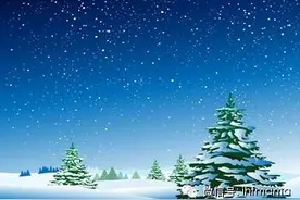 绘本故事 月光下的小松树图片