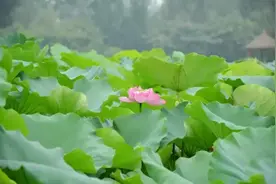 遇见你是我最大的幸运图片