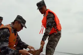 抗洪前线：赛湖大坝上陆军跟武警的一场美丽邂逅图片