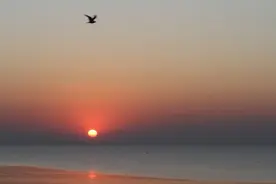 入伏，读几首海浪飞溅的小诗图片