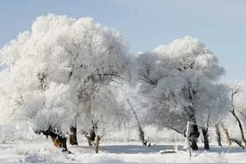 两点水、三点水的字多和水有关，为何四点水的字反而多和火有关？图片