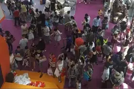 走马观花：2016第二节深圳国际宠物展掠影图片