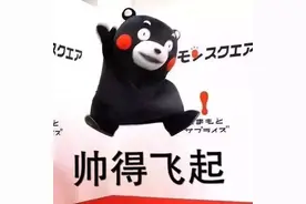 蔡妍坐镇！《拜托拿稳》国际友人红毯巡礼全程图片