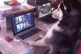 妹子，你这架势有点凶猛啊图片