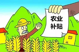 各地农业支持补贴金额出炉，速看（附表）图片