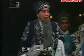 河南戏曲 越调  七擒孟获  申凤梅表演图片