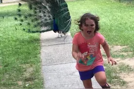 小女孩逃跑表情惊慌失措照，遭网友疯狂恶搞图片