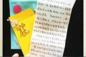 姚晨好友将儿子的画作制成胸针和耳环，目测会出同款图片