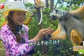 《我们的法则》黄子韬人猴虐恋，原始部落武力值暴增！图片
