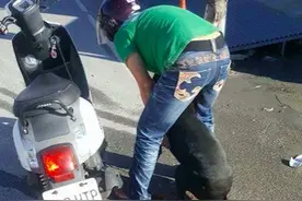网友在路上看到一名妇人正在骑机车“溜狗”，而路上却是一滩血迹图片
