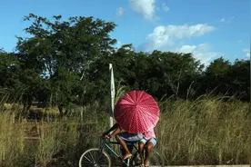被无节制开发的亚马逊雨林图片
