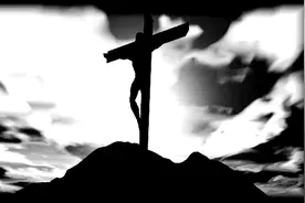 区分真善和伪善的办法图片