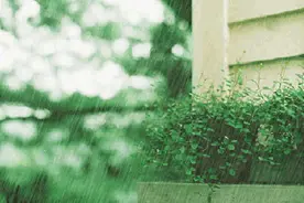 我的城市，雨一直下图片