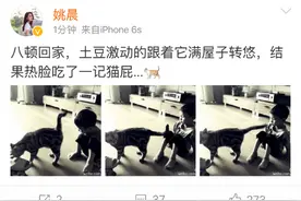 姚晨逗比调侃儿子“热脸吃了一记猫屁”！图片