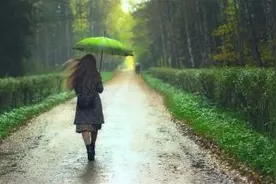 盛夏，  一场雨淋湿多少梦图片