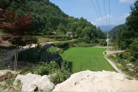 原来爷爷也曾是个钓鱼迷，带我深山溪钓，全是精品鱼图片