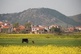 儿子与父亲的距离看似遥远，但其实心里都放不下对方却不愿说出口图片