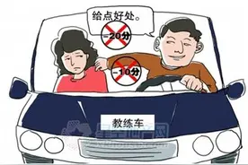 学车/“黑陪练”何时休？图片
