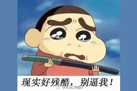 熊孩子自编自导绑架案图片