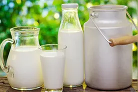 ​你会给家里的狗狗喝牛奶吗，狗狗喝牛奶都有哪些利弊？图片