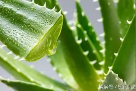 教你6招去除手肘的黑色素沉淀图片