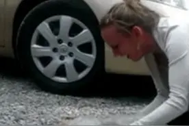 雪纳瑞和女主人分开2年，再次见面竟激动狂喜到晕倒图片