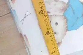 窗帘绑带制作详细教程——粘带制作方法图片