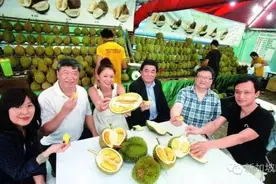 看洋人如何吃榴莲吃到吐，爆笑！图片