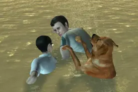 3D：少年营救落水爱犬身亡 狗狗绝食等主人归来图片