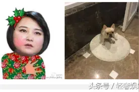 贾玲出去喝酒又喝多了！发微博给大家贡献了表情包一个！图片