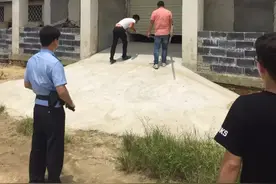 催人泪下！芜湖两只鳄鱼“私奔”逃跑，抓捕过程竟如此悲惨？图片